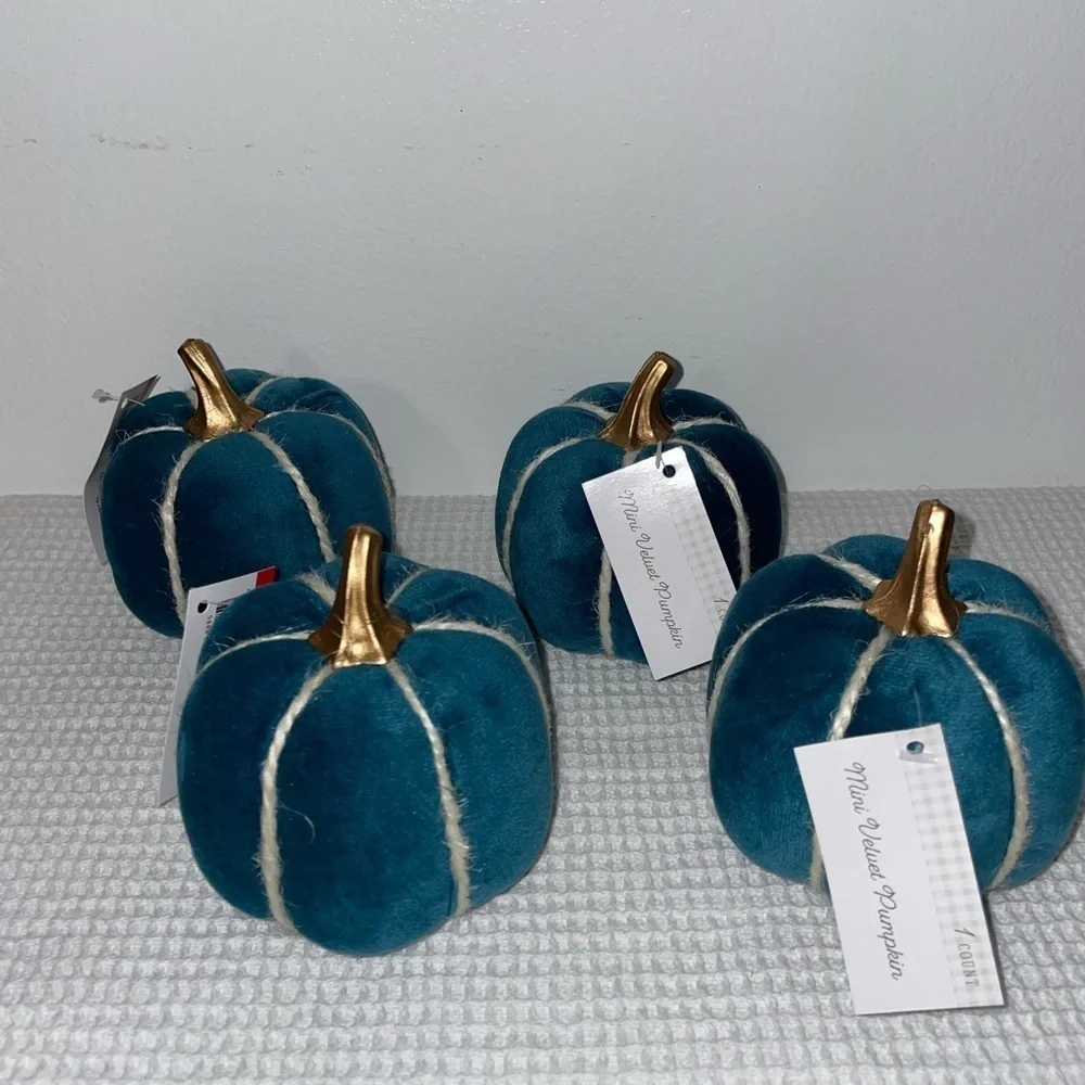 Mini velvet pumpkins - set of 4- target bullseye playground